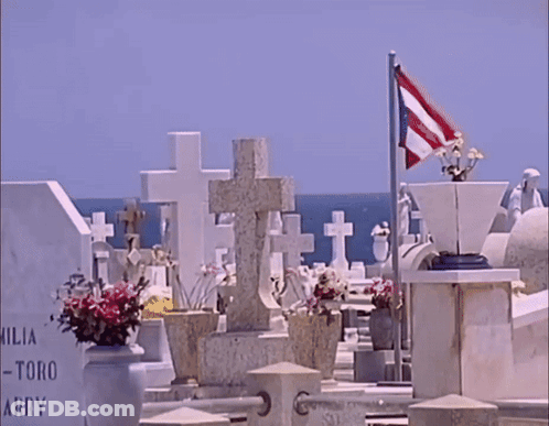 Cemetery Grave Named Toro Arry GIF