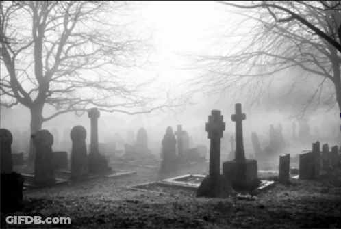 Cemetery With Graves And Crosses GIF