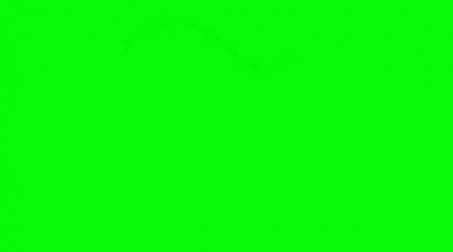 Cena Are You Sure About That Green Screen GIF