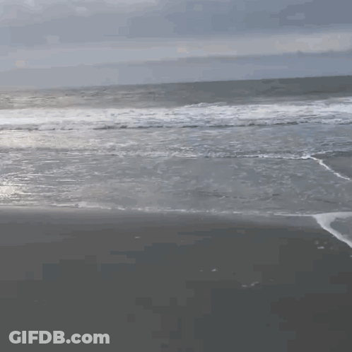 Censored Sign GIF