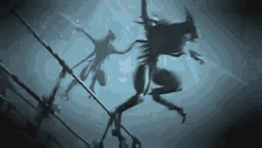 Ceph GIF