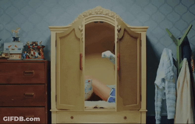 Chaeyoung Twice Member In A Cabinet GIF