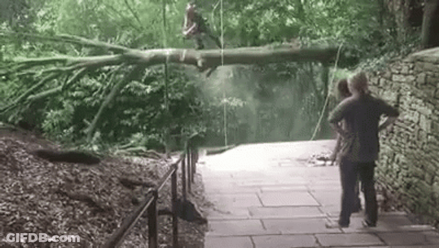 Chainsaw GIF