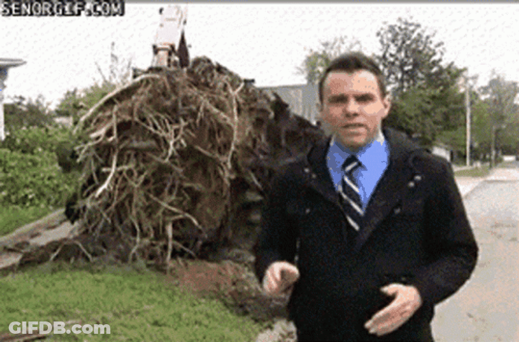 Chainsaw Tree Fall GIF