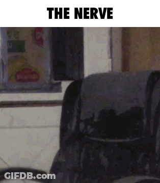 Chair With The Nerve GIF