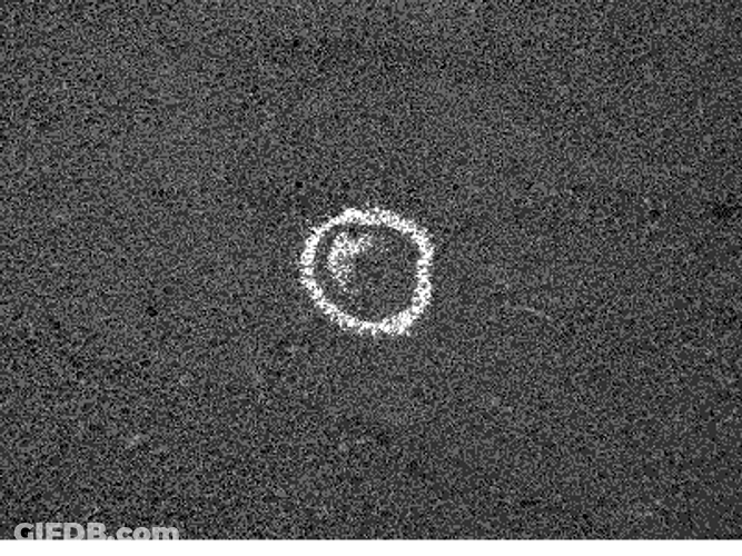 Chalk Drawing Circle GIF