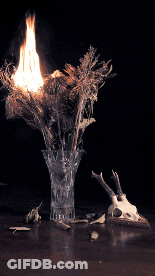 Chama On Flower Base GIF