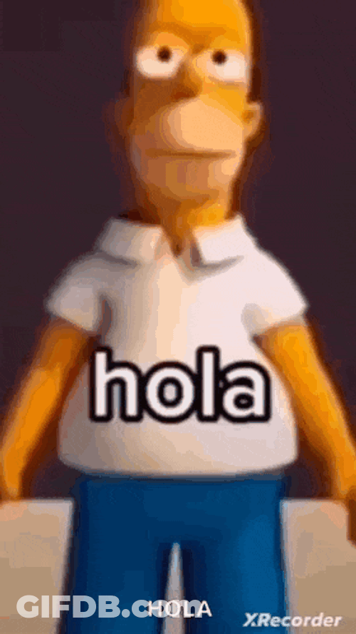 Chamoi Hola GIF