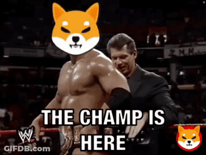 Champ Is Here Wrestler With Shiba Inu Head GIF
