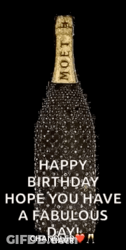 Champagne Bottle Saying Happy Birthday Hope You Have A Fabulous Day GIF