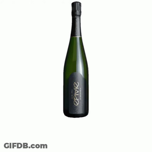 Champagne Bottle With Black Label Saying Optima GIF