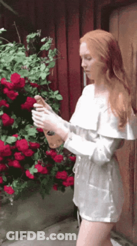 Champagne Open Bottle GIF