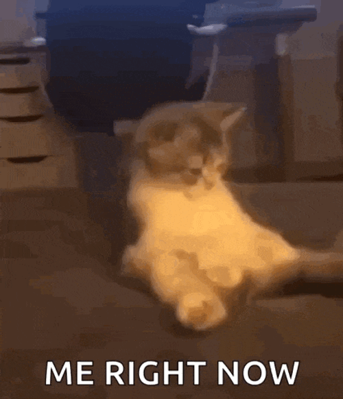 Champions Gaming GIF