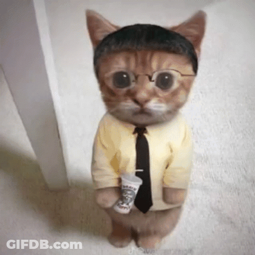 Changing Character El Gato Meme GIF