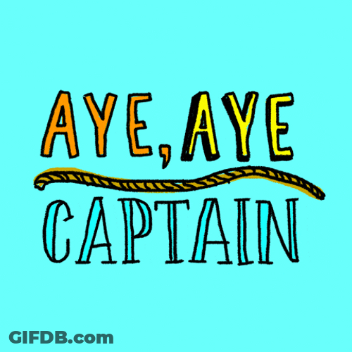 Changing Color Aye Aye Captain GIF