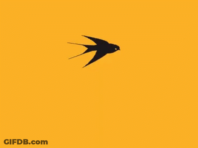 Changing Color Bird Flying GIF