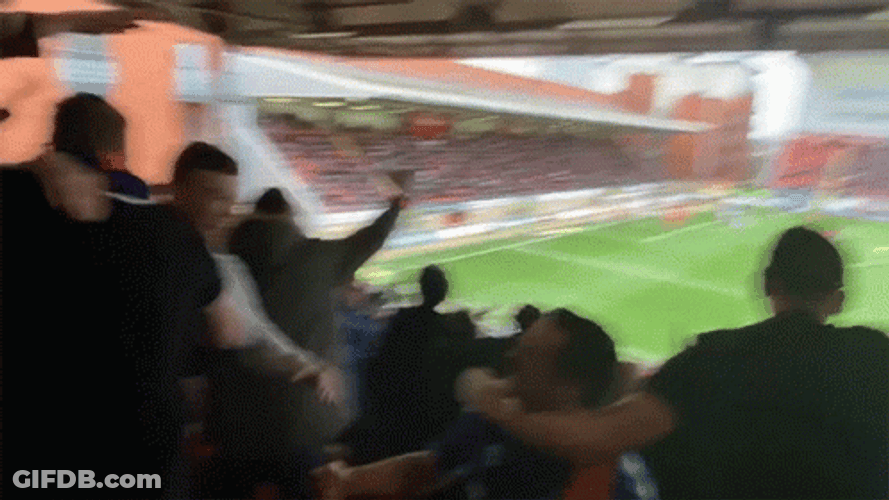 Chaotic Crowd Happy Cheering GIF