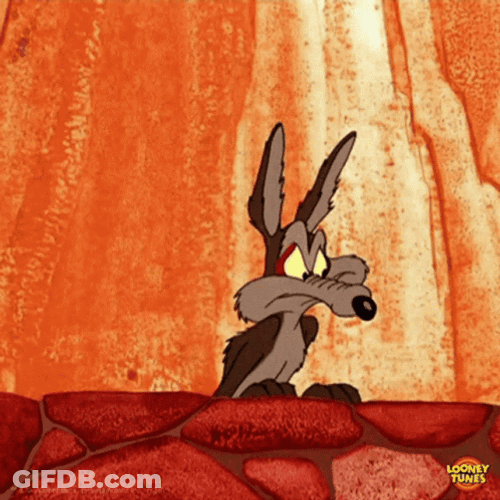 Chaotic Duo Roadrunner Coyote GIF