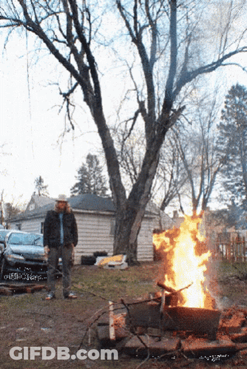 Chaotic Friends Backyard Campfire GIF