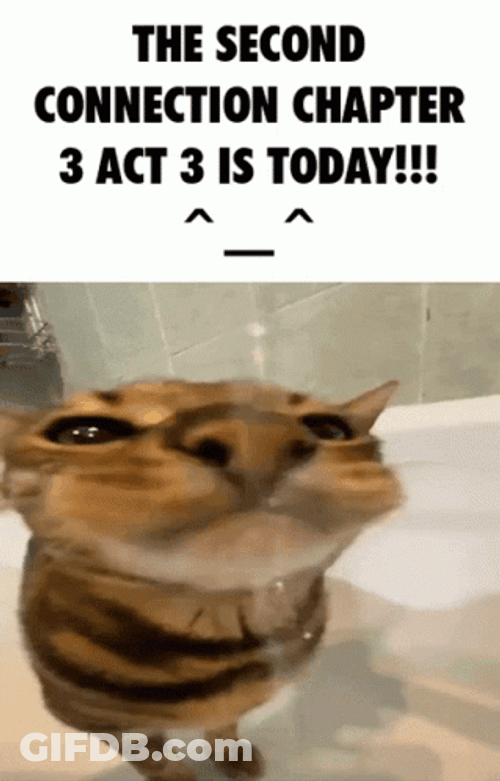 Chapter 3 Act 3 Cat Drinking Meme GIF