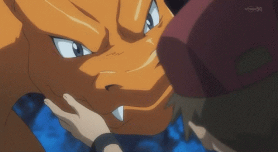 Charizard Nods To Ash GIF