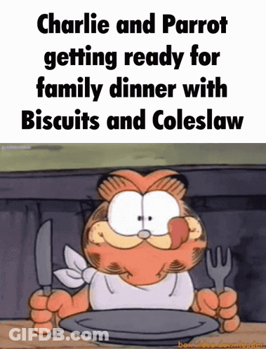 Charlie And Parrot Getting Ready For Family Dinner With Biscuits And Colesław GIF