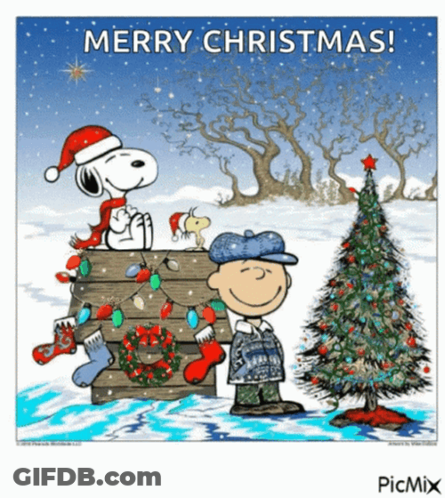 Charlie Brown Christmas Christmas Tree GIF