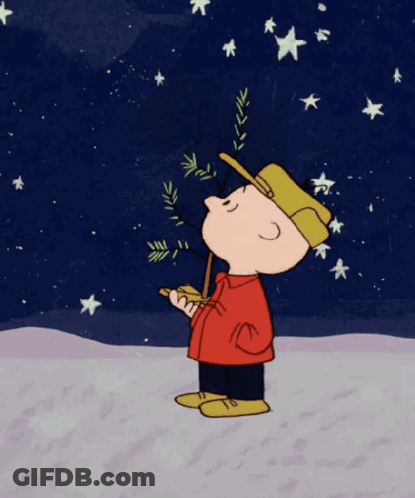 Charlie Brown Holding Christmas Tree GIF