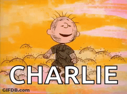 Charlie Brown Jumping In Air In Front Of Sand GIF