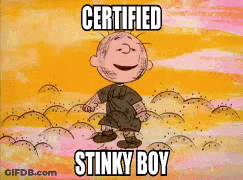 Charlie Brown Jumping With Certified Stinky Boy GIF