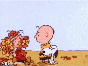 Charlie Brown Lucy And Snoopy Standing In Pile Of Leaves GIF
