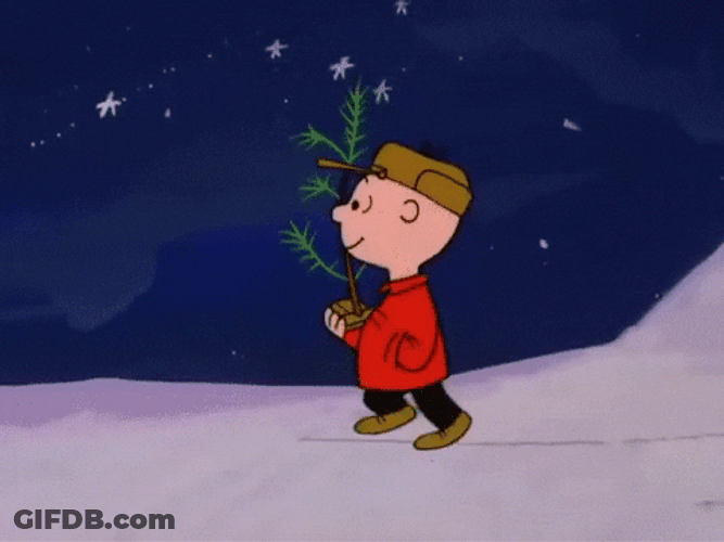Charlie Brown Noser Carrying A Plant GIF