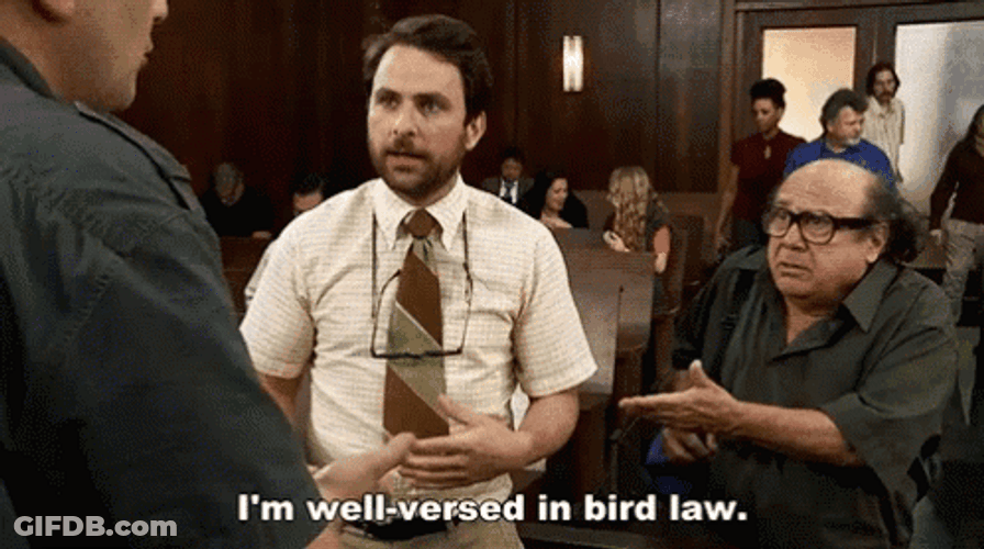 Charlie Day Well Versed Bird Law GIF