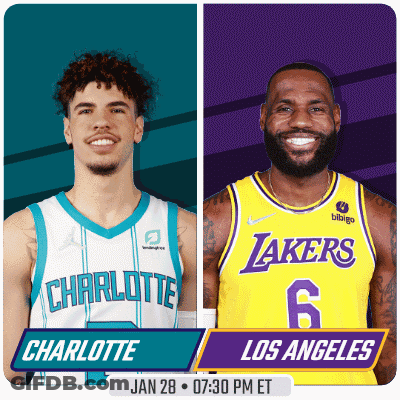 Charlotte Hornets And Lakers Playing GIF