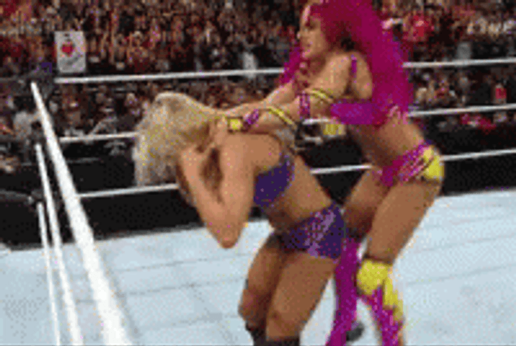 Charlotte Sasha Awesome Wrestling GIF
