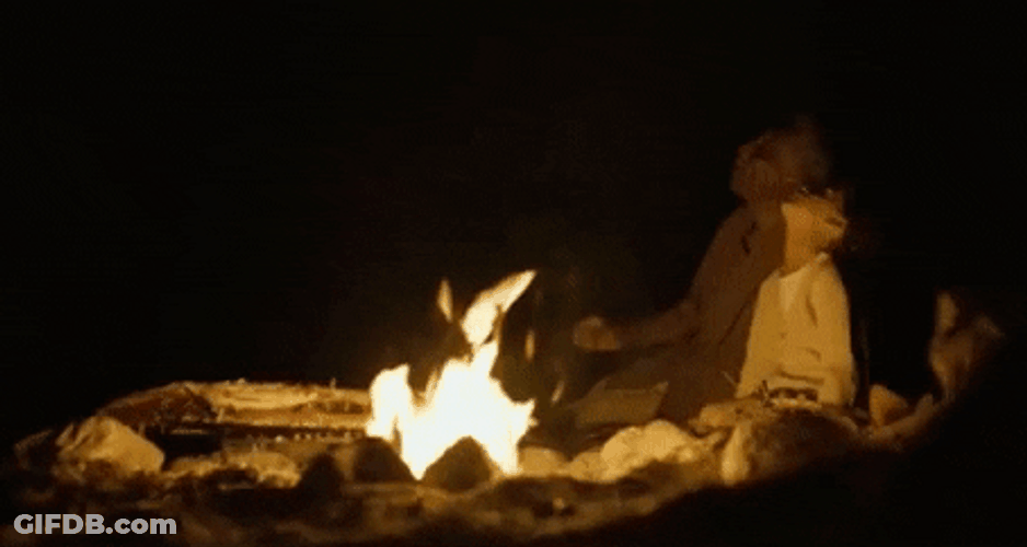 Charming Father Son Campfire Night Sky GIF