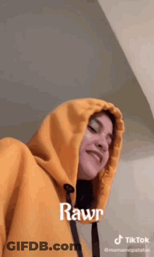 Charming Girl Blogger Rawr GIF