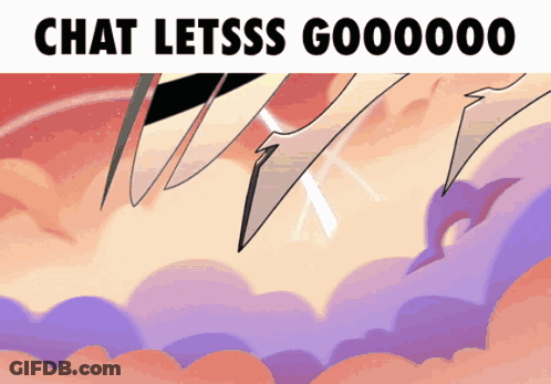 Chat Lets Go GIF