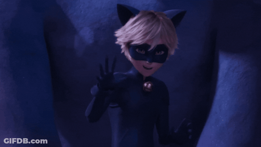 Chat Noir Stopping Something In The Dark GIF