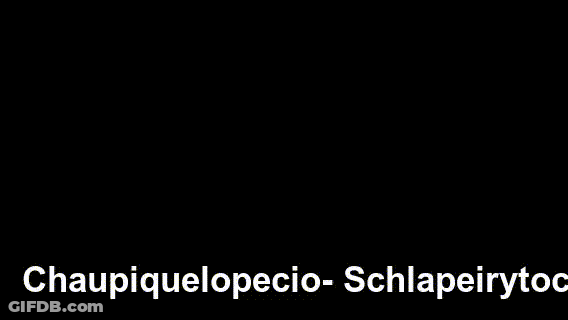Chaupiquelopecio - Schlapeirytockrond GIF