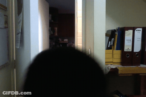 Chaupiquelopecio - Schlapeirytockrond GIF
