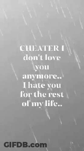 Cheater I Don't Love You Anymore Hate You For The Rest Of My Life GIF