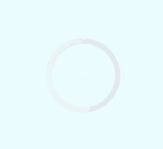 Check Mark Inside Blue Circle GIF