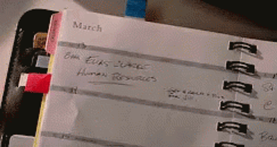 Check My Calendar Notebook Agenda GIF