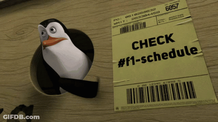 Check Schedule Penguins Of Madagascar Kowalski GIF