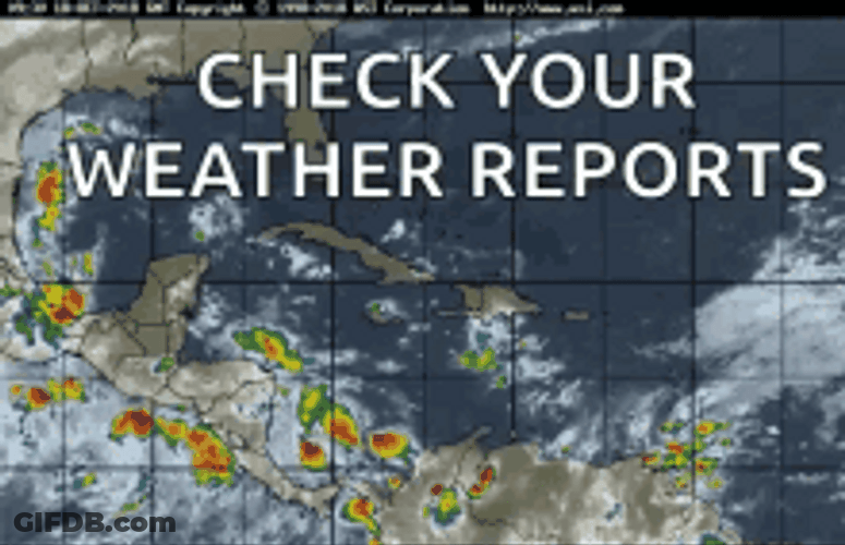 Check Your Weather Reports GIF
