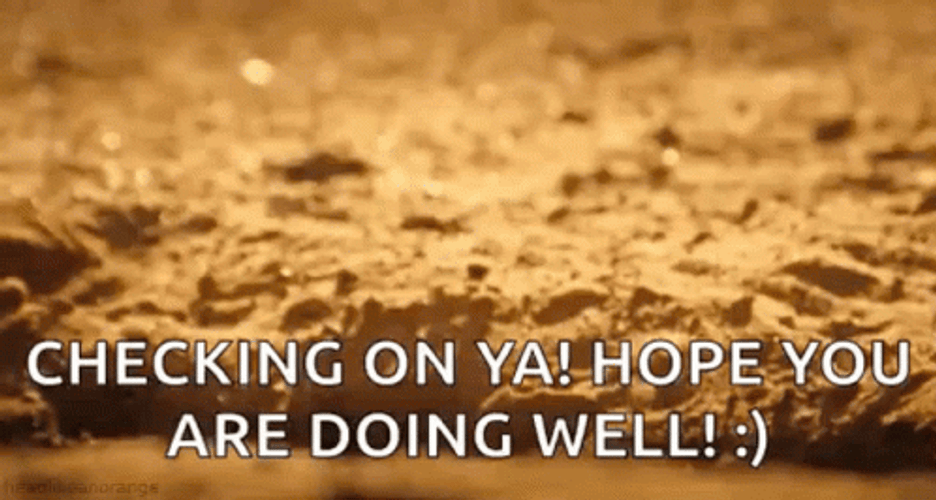 Checking In You Hope You Are Doing Well GIF