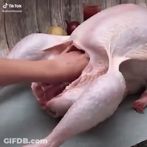 Cheddar Block Turkey Meme GIF