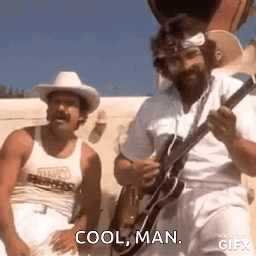Cheech And Chong Cool Man GIF