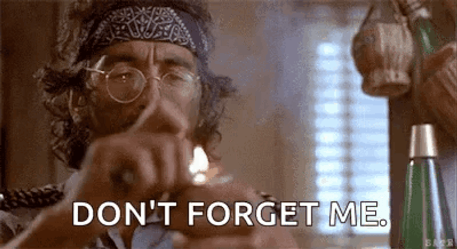 Cheech And Chong Don't Forget Me GIF
